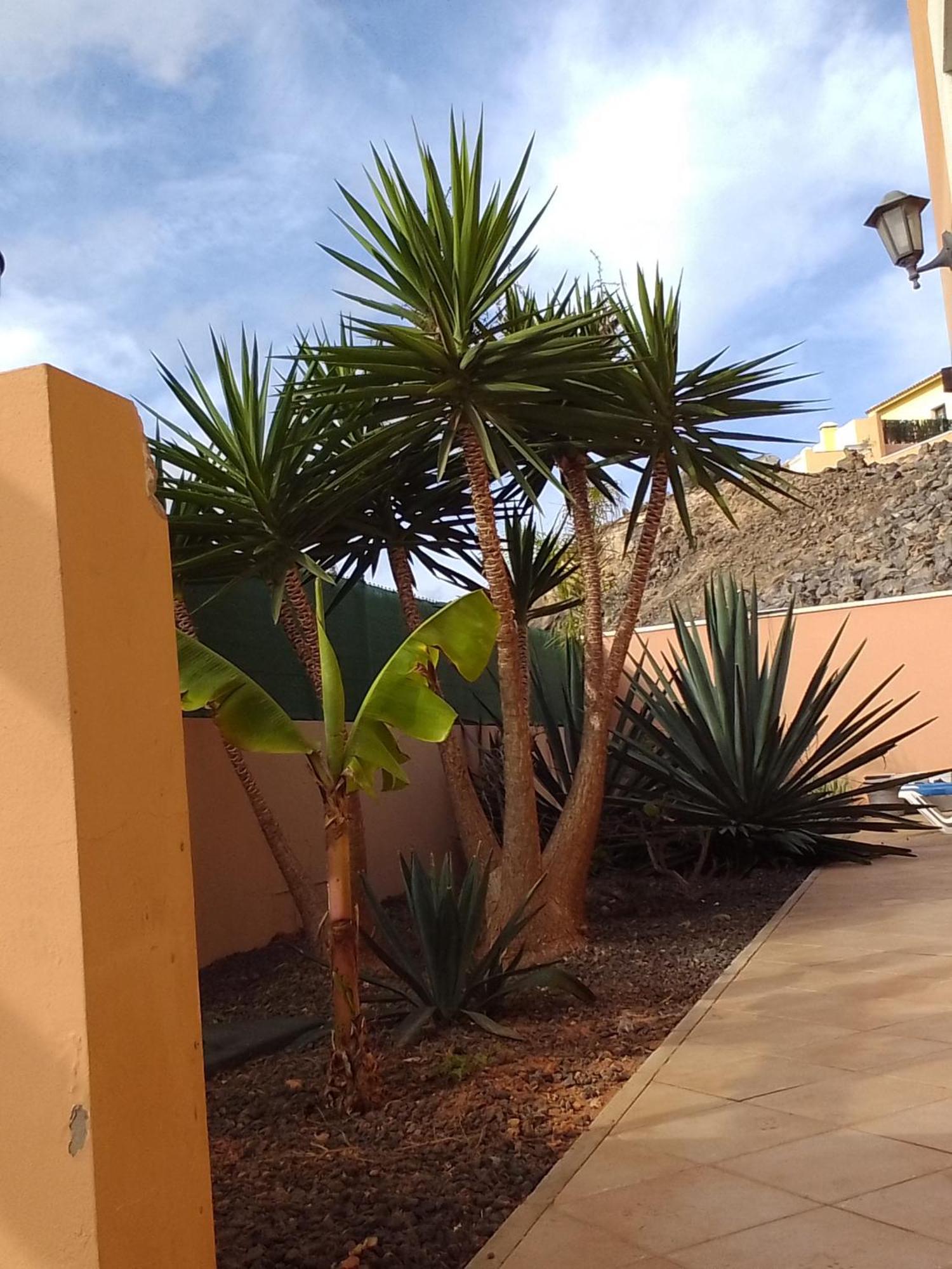 Hostel A Casa Di Ilaria Corralejo Zewnętrze zdjęcie